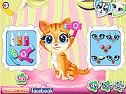 Giochi di Animali da Lavare - Pets Beauty Salon